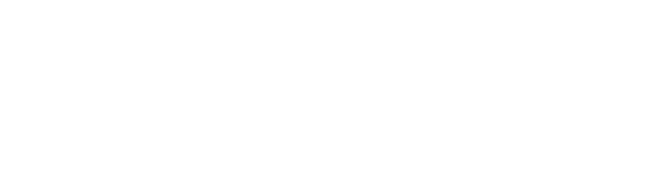 alev exclusive enterprise