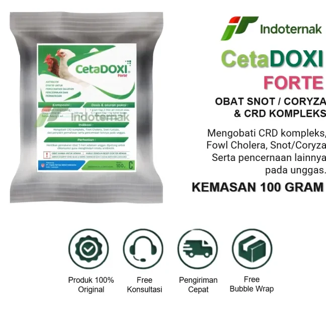 cetaxdoc kg baru