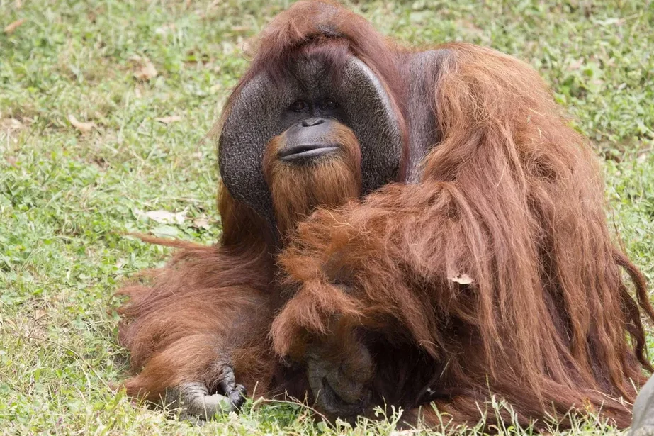 chantek media enterprise