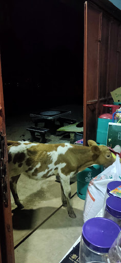 Kedai Runcit & Fotostat Kg Pohon Tal