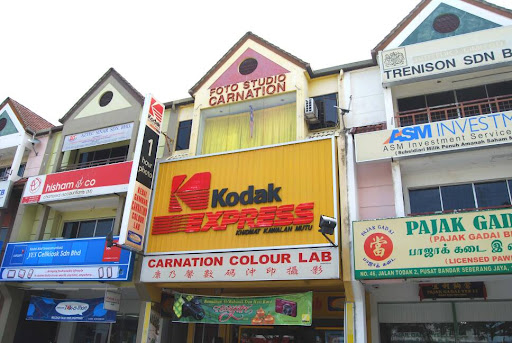 Carnation Colour Lab