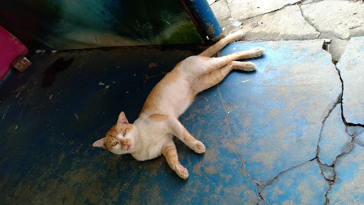 International Printing & Advertising