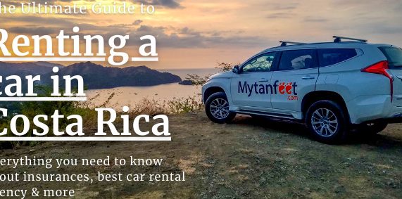 ez surf internet shop car rental