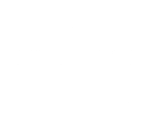 mj print solution