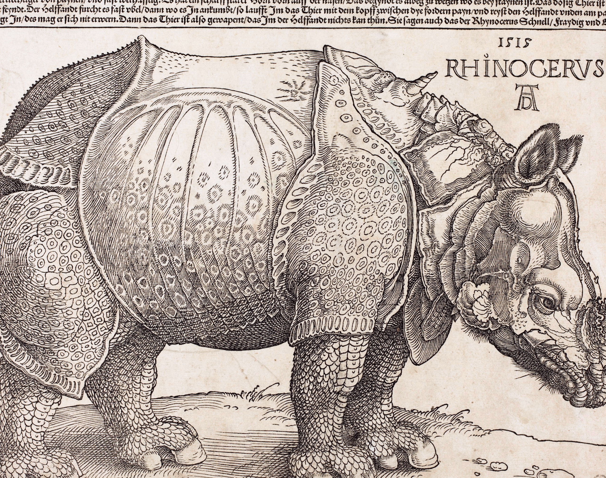 rhinos emperor scaled