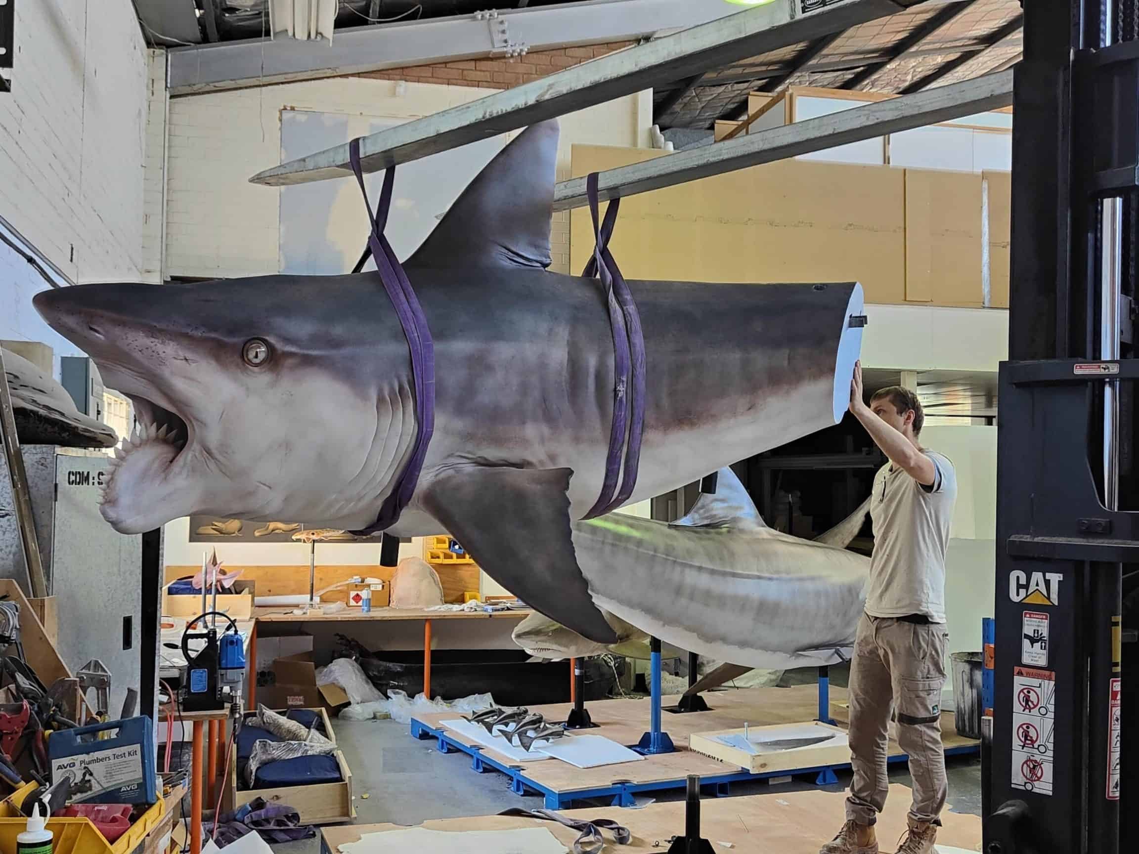 Shark Printing Studio 1 shark printing studio