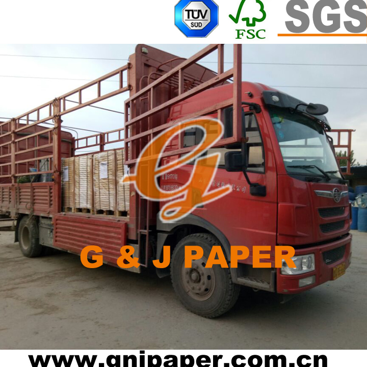 surewin photocopy digital printing