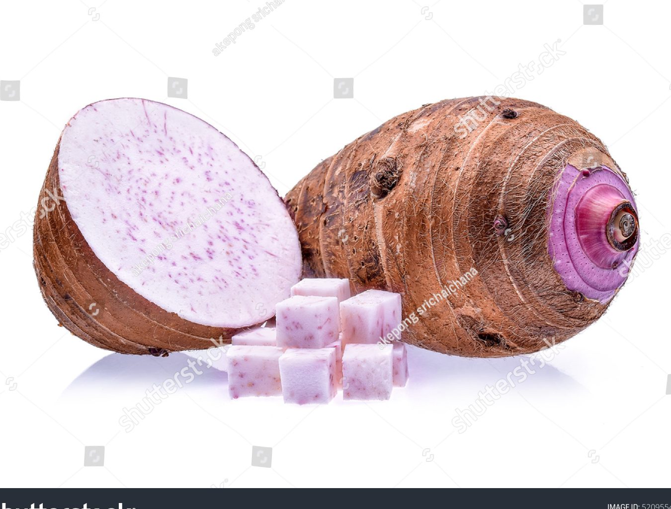 taro photo photostate