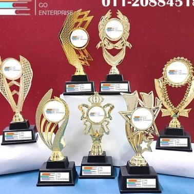 tyl go enterprise 1010s store