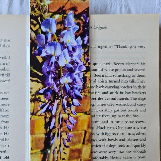 wistaria stationeries gifts