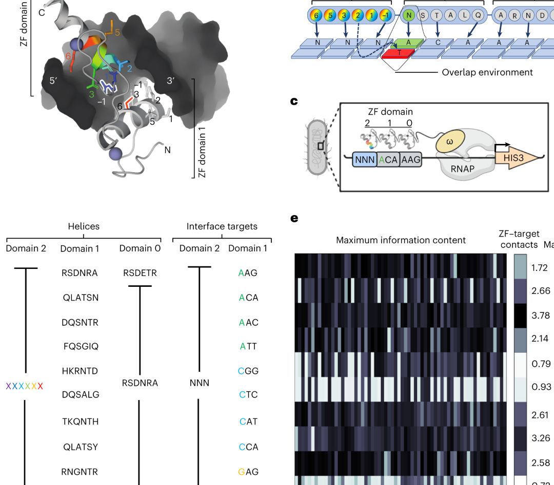 zf creation printing zf cetak