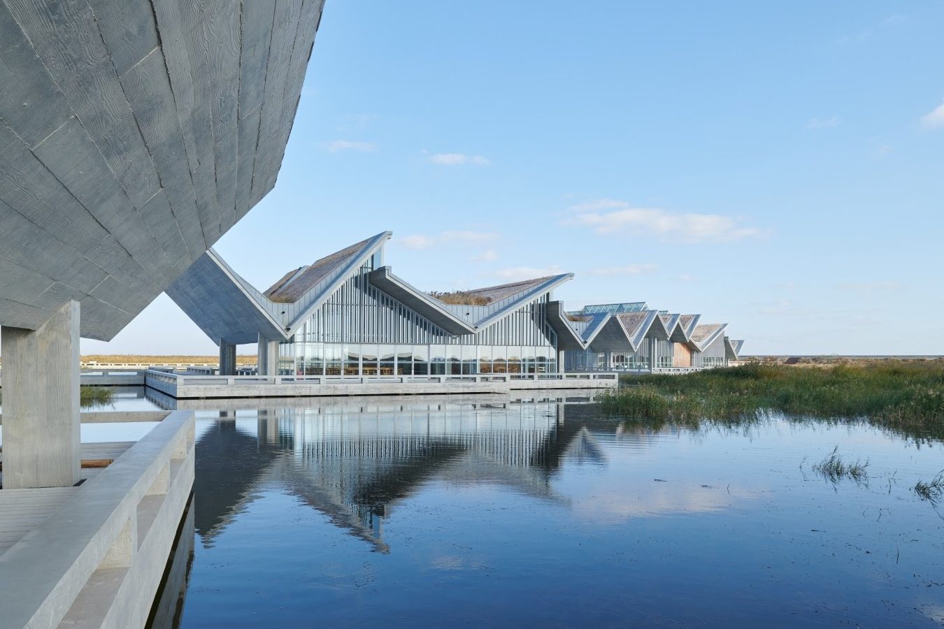 zong photostate centre